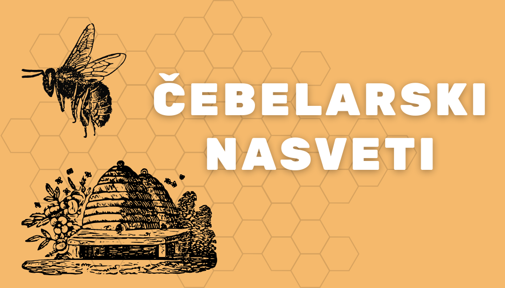 Cebelarski nasveti