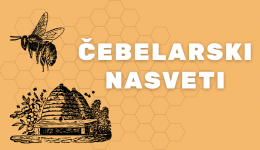 Cebelarski nasveti